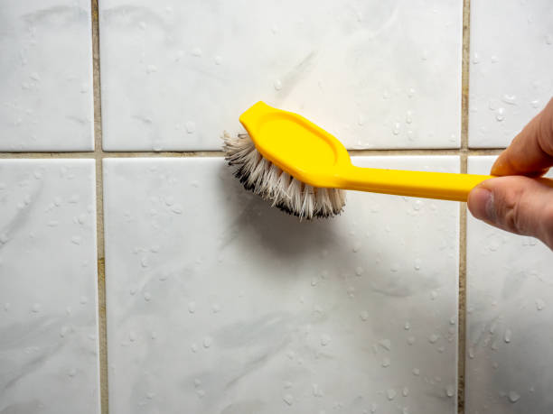 Best Office Mold Removal Services  in Aberdeen, IN