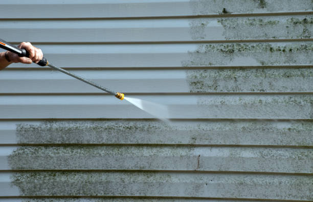 Best Mold Damage Repair  in Aberdeen, IN