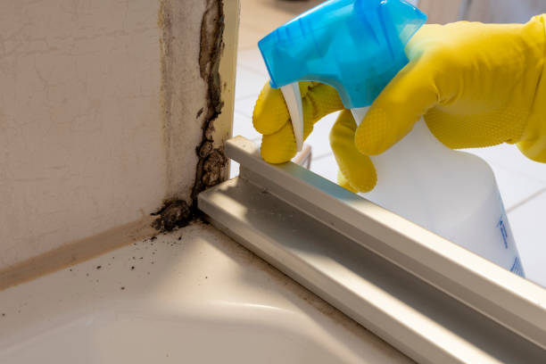 Best Toxic Mold Removal  in Aberdeen, IN
