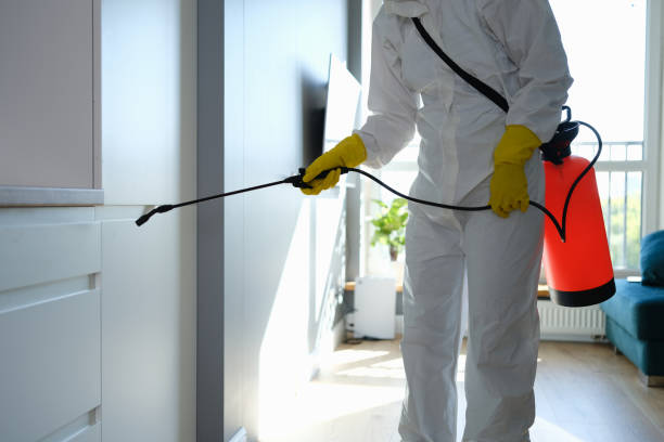 Best Mold Cleaning Services  in Aberdeen, IN