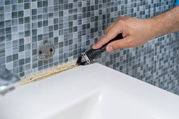 Best Mold Damage Repair  in Aberdeen, IN